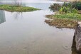 娄底农村水系河道底质改良环境修复剂