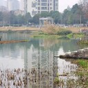 湖北水環境修復工程物化凝聚復合劑