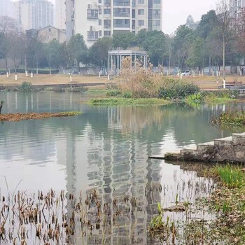 晋中黑臭水体治理技术工程底泥修复剂