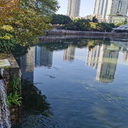 株洲黑臭水體治理工程底泥修復(fù)劑