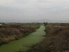 武汉水环境生态修复河道污泥固化剂