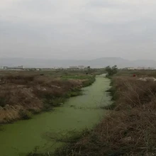 溫州城市水生態(tài)環(huán)境修復(fù)工程微生物菌劑