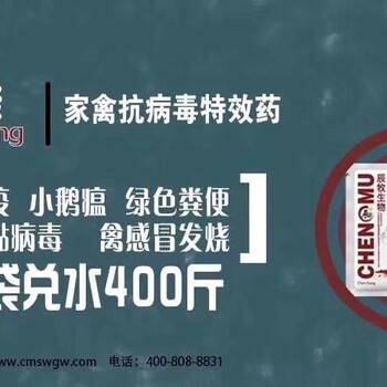 鸡得流感用什么药-鸡感冒的症状及用药-流感佳治愈方案