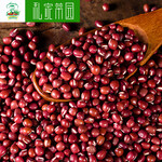 江苏红豆供应商