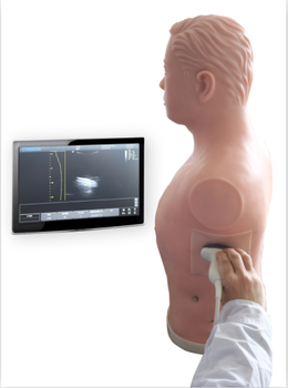 超声引导下胸腔穿刺技能训练模型yj-cs320