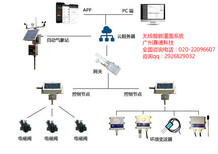 图片0