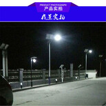 浙江宁波的LED路灯生产厂家哪里有图片2