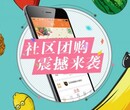 果果优鲜团购app源码定制