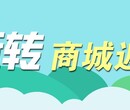 车小将商城返利成功案例开发