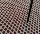 广西1米高塑料养蜂网厂家/天津拦沙挡鱼网价格图片