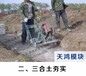 泾阳天鸿模块建房造价