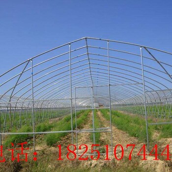 泉州南安草莓种植大棚多少钱一亩地送货上门