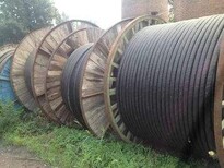 电缆回收/废电缆回收/低压铝电缆铜电缆回收价格图片1