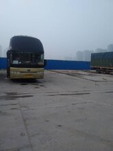 郑州到盘锦宠物托运公司图片