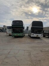 郑州到营口宠物托运价格图片