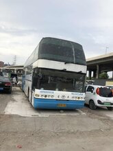 郑州到台州宠物托运电话图片