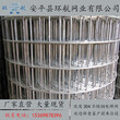 不锈钢电焊网钢丝焊接网现货供应图片