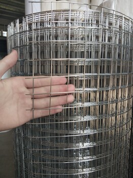 环航网业不锈钢电焊网防鼠网圈玉米建筑用网现货供应规格材质