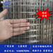 不锈钢电焊网网片厂家304材质质量保证养殖网养鱼养鸡