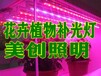 长春LED大棚补光灯