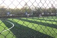 许昌球场绿色菱形网那里有,4米高体育场隔离网,勾花网价格