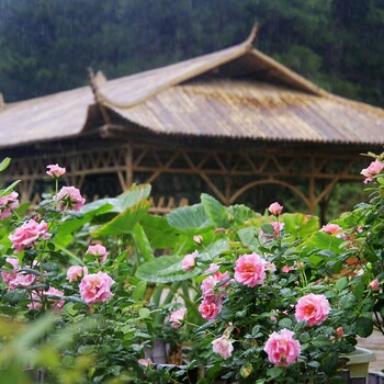 长沙周边游农家乐一日游亲子活动团队聚会烧烤