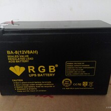 美国RGB蓄电池BA-10012V100AH铅酸