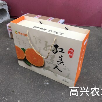 象山红美人柑橘礼盒装果冻橙哪里买？