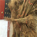 定植两年的石榴苗品种特色蒙阳红石榴苗出售价格