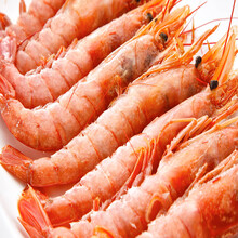 阿根廷红虾进口到青岛港清关资料