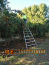 高薪出國(guó)勞務(wù)月薪上萬(wàn)正規(guī)公司流程安全可靠