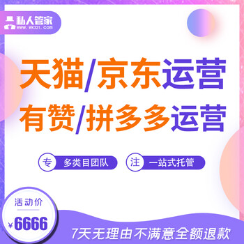 淘宝代运营天猫京东代运营网店店铺托管整店代运营拼店多多代运营