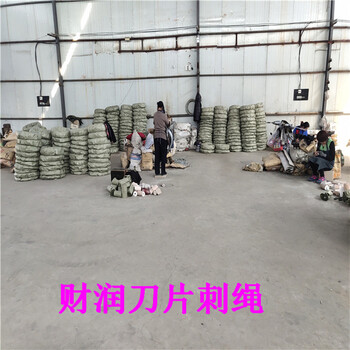 刀片刺繩刺絲滾籠圍欄網(wǎng)生產(chǎn)設(shè)計(jì)安裝一體化生產(chǎn)廠家