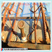 杭州展鴻新材廠家直銷上海TD3-120型鋼筋桁架樓承板