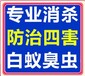 随州灭白蚁随州白蚁防治随州灭治公司随州专业白蚁防治公司，效果保证，无效退款