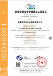 重庆环境管理体系认证办理资料,售后服务认证图片1