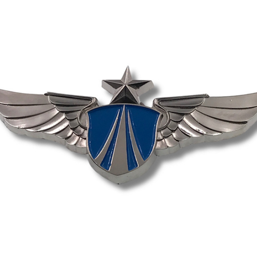 航空徽章定做，銀色翅膀胸章，蝴蝶扣胸針廠