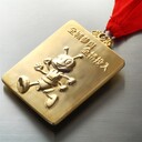 找獎(jiǎng)牌廠家，螞蟻獎(jiǎng)牌，公益活動(dòng)獎(jiǎng)牌