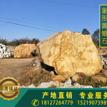 天然黃蠟石象石大型原石擺件寓意黃蠟石大象形奇石景觀石