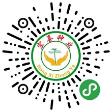 山东宏喜种业优德88登录-大豆小麦繁育基地-诚信单位图片