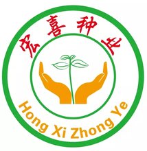 最新大豆小麦新品研发基地-高产大豆新品种-超高产小麦图片