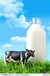 广州牛奶进口报关关税