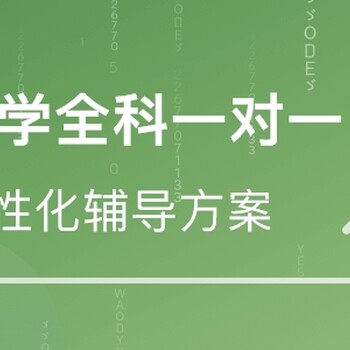 乌鲁木齐小学暑假辅导班西北路中小学暑假补习