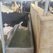 牛场冬季饮水设备电加热不锈钢恒温饮水槽尺寸