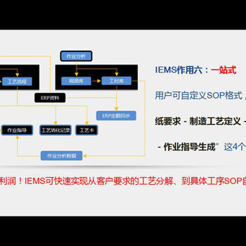 iems动作与视频分析软件