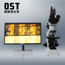 苏州厂家直供数码偏光金相显微镜BH200拍照/存储/测量