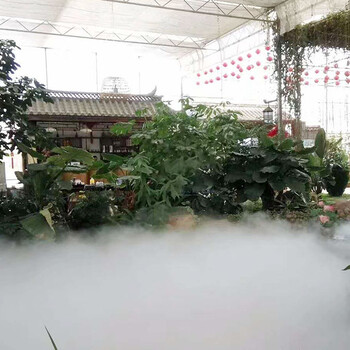 惠州售樓部噴霧景觀系統(tǒng)，人造霧效景觀，水霧造景設(shè)備廠家