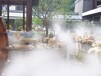 梅州园林喷雾造景，售楼部雾喷设备，园林雾喷设备厂家直供