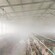 重庆养殖场喷雾消毒