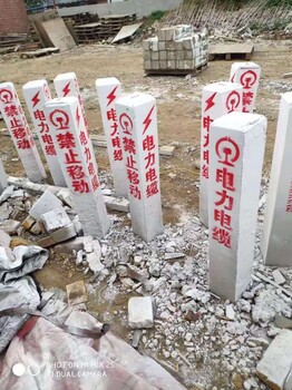 上海百米桩供应商